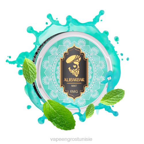 Vape En Gros Tunisie - menthe NHPL52 ALIBARBAR pochette de nicotine