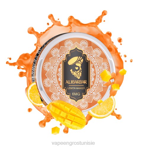 Vape En Gros - mangue citron NHPL61 ALIBARBAR pochette de nicotine