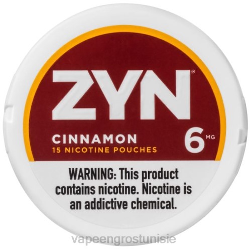 Cigarette Électronique Jetable Prix - cannelle NHPL19 ZYN sachet de nicotine 6mg