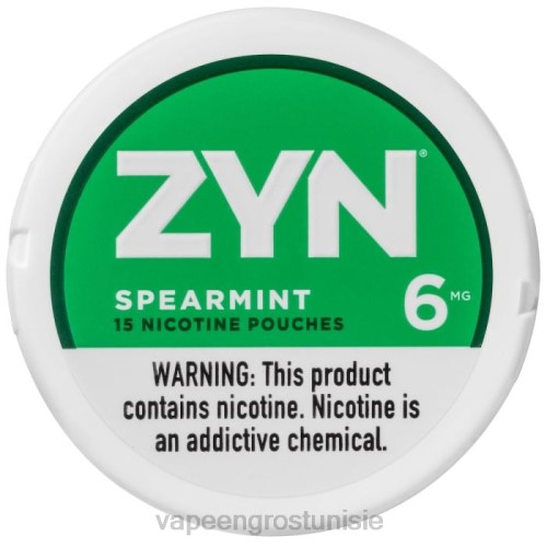 Cigarette Électronique Prix - menthe verte NHPL15 ZYN sachet de nicotine 6mg