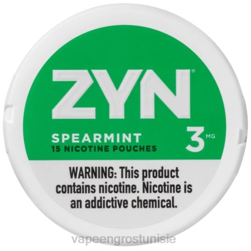 Cigarette Électronique Prix - menthe verte NHPL25 ZYN sachet de nicotine 3mg