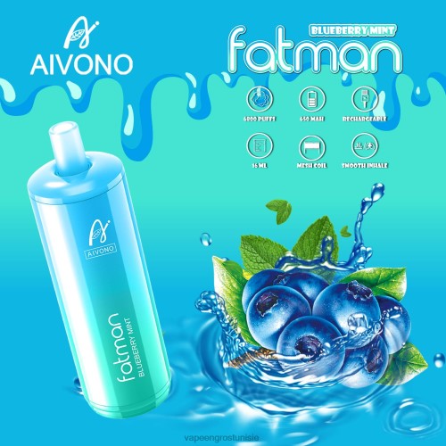 Vape En Gros Tunisie - Aivono FATMAN 6800 menthe myrtille 2D68622