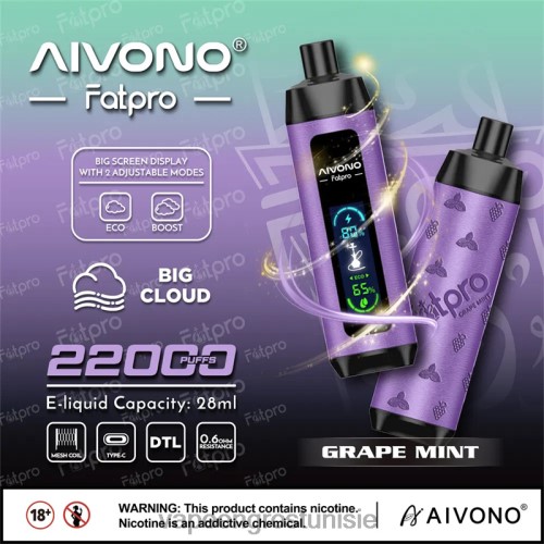 Vape En Gros Tunisie - Aivono Fatpro 22000 menthe raisin 2D6862