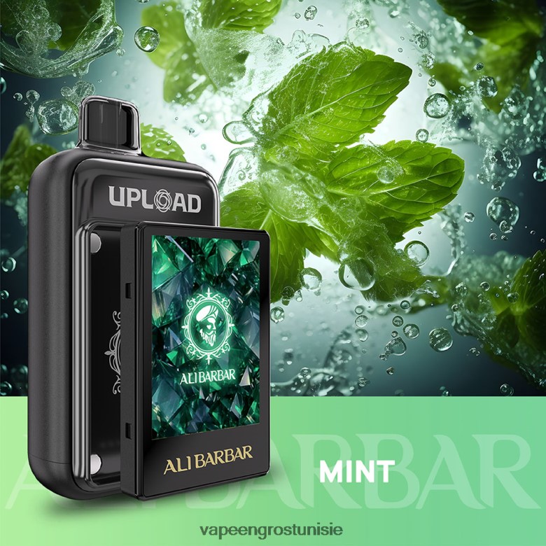 Cigarette Electronique Grossiste - Alibarbar télécharger 88T424117 menthe