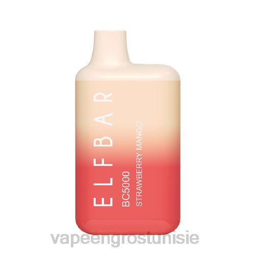 Cigarette Électronique Jetable Prix - mangue fraise NHPL309 ELFBAR BC5000