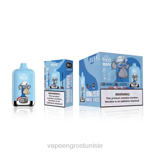 Vape En Gros Tunisie - fraise myrtille NHPL132 Bang Box 15000