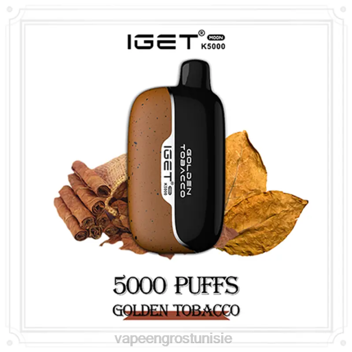 Vape En Gros - IGET Moon k5000 02DN1 tabac doré