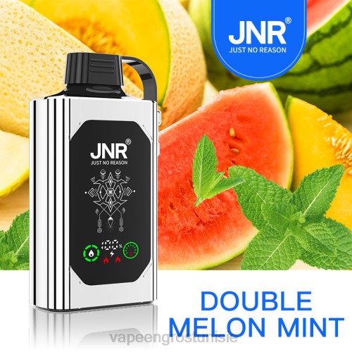 Vape En Gros - double melon menthe NHPL621 JNR SHISHA BOX