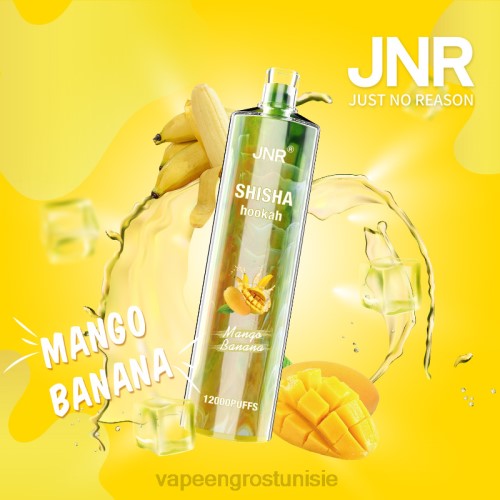 Cigarette Electronique Grossiste - mangue banane NHPL684 JNR SHISHA