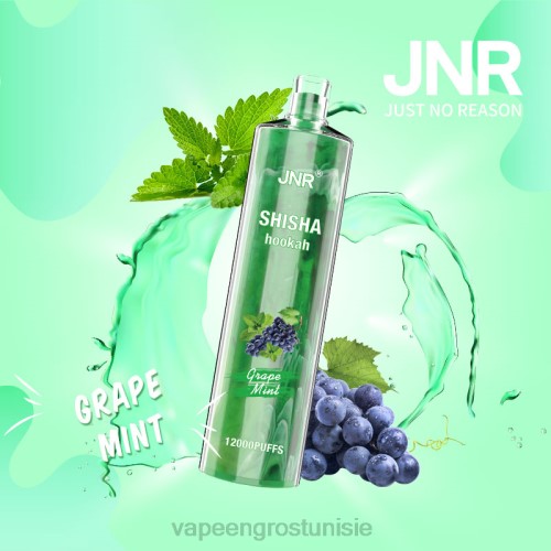 Cigarette Électronique Tunisie - menthe raisin NHPL678 JNR SHISHA