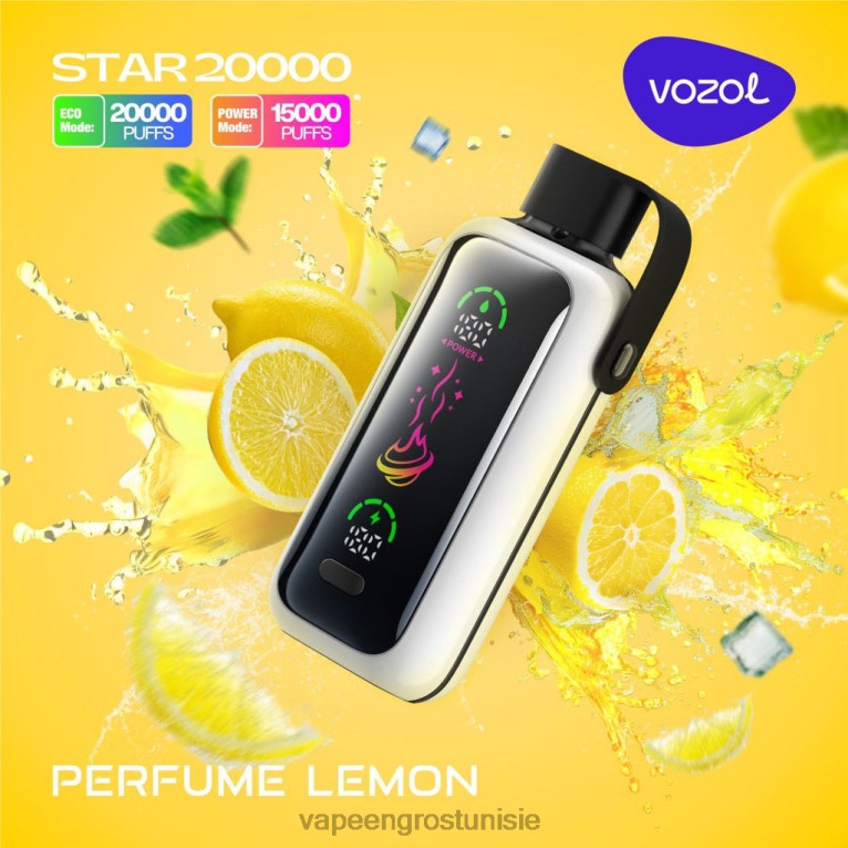 Cigarette Électronique Jetable - VOZOL STAR 20000 806RT17 parfum citron