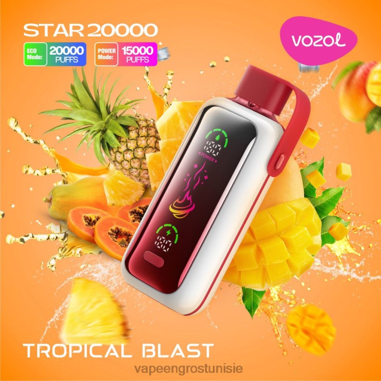 Vape En Gros Tunisie - VOZOL STAR 20000 806RT2 explosion tropicale