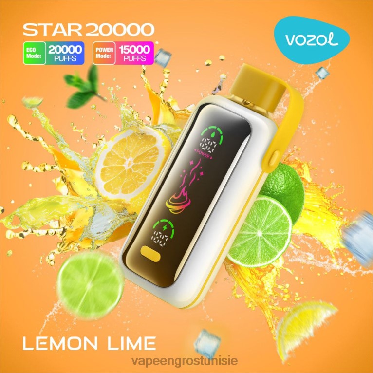 Vape En Gros - VOZOL STAR 20000 806RT11 citron vert