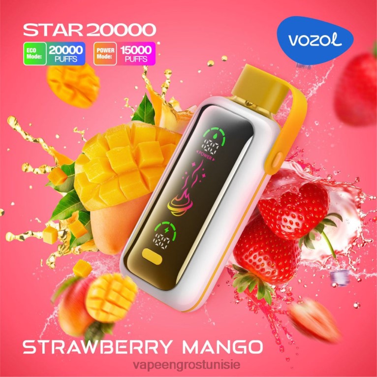 Vape En Gros - VOZOL STAR 20000 806RT1 mangue fraise