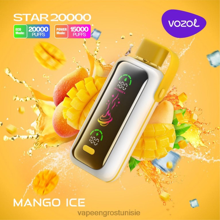 Vapoteuse En Gros - VOZOL STAR 20000 806RT13 glace à la mangue